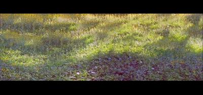 108453-400x189