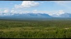 Canyon Creek treeline study site