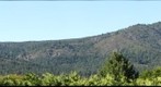 Hood Mountain, Sonoma Valley, California