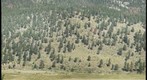 West Horseshoe Park, Rocky Mountain National Park