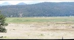 Moraine Park, Rocky Mountain National Park 