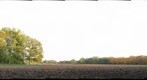 Field in Haarlo