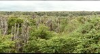 Charles Darwin Research Station Invertebrate Building - North View - 100mm