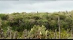 Charles Darwin Research Station Invertebrate Building - North View - 300mm
