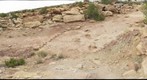 Copper Ridge Dinosaur Trackways - near Moab, Utah