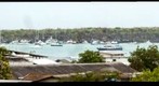 Charles Darwin Research Station Invertebrate Building - Puerto Ayora View - 400mm