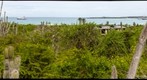 Charles Darwin Research Station Invertebrate Building - Puerto Ayora View - 100mm