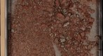 Help Find Fossils in real Research Sample
