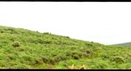 El Puntudo - South trail - 150mm