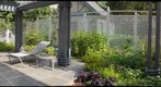 My back garden