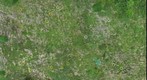 Monahan Flats Plot MA4 with 51 seedlings