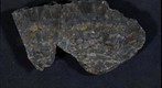 Snowball Earth Educational Rock Sample Suite PFH-1