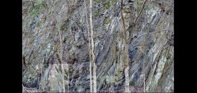 109287-400x189