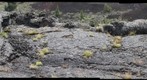 Craters of the Moon Squeeze-Ups