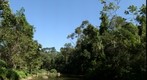 Rio Mococa