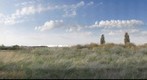 Pannonian Sand dunes habitat