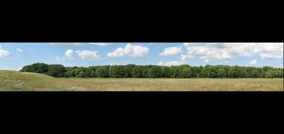 109554-400x189