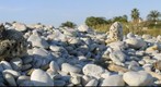Platja Aiguaoliva