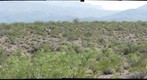 Collecting data at the Jornada Experimental Range, New Mexico