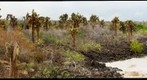 El Garrapatero - 360 degree view - 100mm
