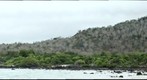 El Garrapatero - West View - 300mm
