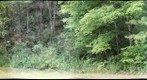 Stark's Knob entrance