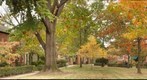Chatham Village Courtyard