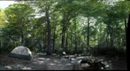 Camping with Chris