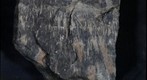 Snowball Earth Educational Rock Sample Suite PFH-3