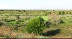 Samodurovka - Peski (tn)