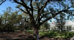 Rice University: Natalie, a Rice Student