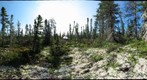 120715 - Arctic Ecology - Churchill Manitoba - Goose Creek Bog - Kelsey