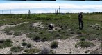 120708 - Arctic Ecology - Churchill Manitoba - Tundra Ponds - Eric and Darren