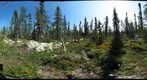 120718 - Arctic Ecology - Churchill Manitoba - Goose Creek Bog 2 - Kelsey