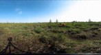 120718 - Arctic Ecology - Churchill Manitoba - Twin Lakes Fen 2 - Kelsey