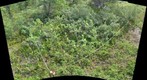 120719 - Arctic Ecology - Churchill Manitoba - Twin Lakes Moraine Q6 - Kelsie