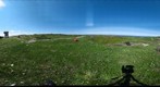 120715 - Arctic Ecology - Churchill Manitoba - Cape Merry - Kelsey