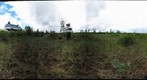 120714 - Arctic Ecology - Churchill Manitoba - Twin Lakes Fen - Kelsey