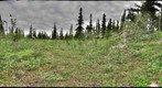 120716 - Arctic Ecology - Churchill Manitoba - Ramsay Creek - Cassie