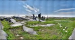120710- Arctic Ecology- Churchill Manitoba- CapeMarry- Kate