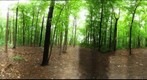 Dairy Bush GigaPan - 151 - July 26 2012 