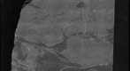 Snowball Earth Educational Rock Sample Suite #7