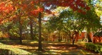 Chatham Village Playhouse