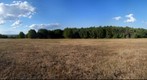 The Nature