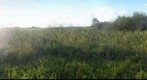 Nature of Bashkortostan Republic