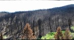 Fire Damage Near Pony, MT