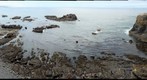 Tide Pools from above
