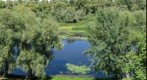 Krasnyj Jar (14)