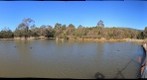 The Sanctuary at Tidbinbilla