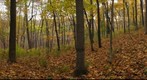 Kettle Moraine State Park, WI